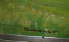 idname(2261)